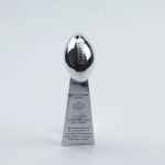 New England Patriots Super Bowl Trophy Team Logo