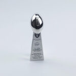 Las Vegas Raiders（Los Angeles Raiders） Super Bowl Trophy Team Logo