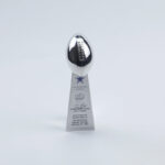 Dallas Cowboys Super Bowl Trophy Team Logo