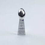 New England Patriots Super Bowl Trophy Team Logo