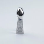 Dallas Cowboys Super Bowl Trophy Team Logo