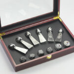 Pittsburgh Steelers Championship Rings Set & Trophies